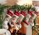 Pottery Barn Stockings