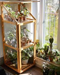 Bitte grenzen sie die suche ein. Hier Wurde Eine Kleine Vitrine Einfach In Ein Gewach In 2021 Pflanzen Zimmer Wohnung Pflanzen Wohnzimmer Pflanzen
