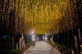 Learning night photography techniques may be challenging, you need experience, much time and patience. Shaadiwish Inspirations And Ideas Candles