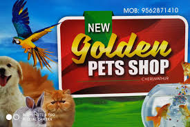 Maybe you would like to learn more about one of these? Pets Palace Nileshwar Pet Shops In Kasaragod Justdial