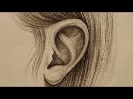 تعلم رسم الأذن بالرصاص Youtube