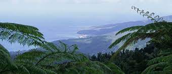 Basic information operating hours, fees, weather, pets, and more. Der Nationalpark Guadeloupe
