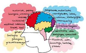 Afasie is het gevolg van een hersenbeschadiging. Wat Is Primair Progressieve Afasie Alzheimercentrum Amsterdam