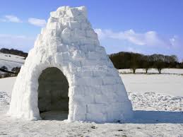 Resultado de imagen de iglu