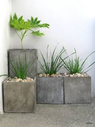 Prachtige Betondekorsachen Fur Ihr Haus Garten Vorgarten Pflanzgefasse