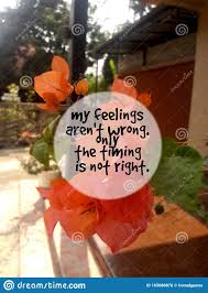 Love Quotes My Feelings Aren T Wrong Only The Timing Is Not Right Stock Photo Image Of Theme Timing 165086876