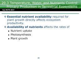 Part Six Ecosystem Ecology Ppt Download