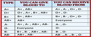 The Biology Of Blood Groups