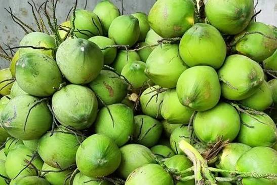 Dừa xiêm: Đặc điểm và những món cực ngon từ loại quả này