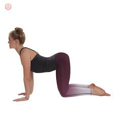 4 Minute Yoga Flow For A Bad Low Back Get Healthy U Easy Yoga Workouts Morning Yoga Poses Yoga Poses