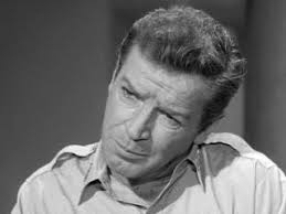 REFLECTIONS ON THE LIFE AND CAREER OF RICHARD BASEHART