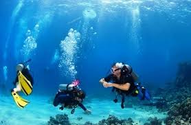 Kota yg ramai di malam hari. Top 7 Reasons To Try Scuba Diving And Other Water Sports