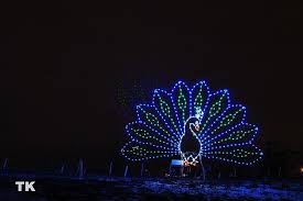 Trail Of Lights 24 Peacock Christmas Christmas Lights Christmas Light Displays