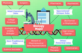 12 Jobs For Biology Majors The University Network Biology Major Biology College Information