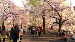 Maybe you would like to learn more about one of these? 55 Tempat Wisata Di Jepang Yang Menarik Tempatwisataunik Com