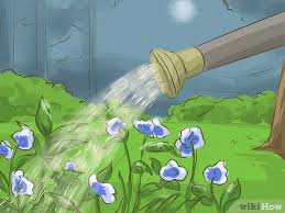 Check spelling or type a new query. 4 Ways To Get Rid Of Garden Snails Wikihow