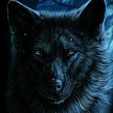 1080x1920 full hd mobile phone. Black Wolf With Green Eyes Animals Live Wallpaper 3758 Download Free