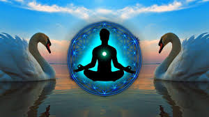Pin By Asumchaimd On Ahimsa Porter Sumchai Md In 2021 Chakra Healing Meditation Heart Chakra Healing Healing Meditation
