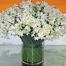 Flowers In Season May Wedding Flower Decorations Ceremony Flowers Wedding Flowers