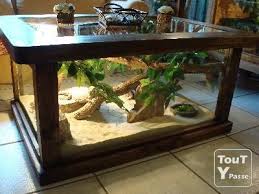 Diy Wood Terrarium Iskanje Google Kungspyton Akvarier Gnagare