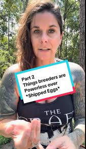 As I rapid fire a list of potential incubation issues and their causes ✌🏼  #chickens #chickenkeeping #backyardchickens #chickentok #crazychickenkady  #breeder #hatchingeggs #poultry #incubator