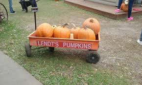 Lendt's pumpkin patch wyoming mn. Lendt S Pumpkin Farm 6903 Wyoming Trl Wyoming Mn Pumpkin Patches Mapquest