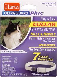 I'm a pet owner, blogger, and writer from the massachusetts. Hartz Ultraguard Flea Tick Collar For Cats 1 Collar 7 Mos Supply Chewy Com