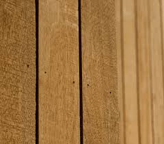 Image result for Afzelia