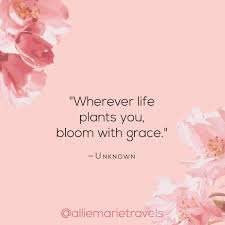 Mar 26, 2021 · this gorgeous season symbolizes rebirth and renewal. Quotes Allie Marie Travels