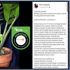 We did not find results for: Cek Fakta Hoaks Tanaman Beracun Pemicu Leukemia Ini Faktanya Cek Fakta Liputan6 Com
