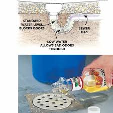 101 Things Every Homeowner Must Know Smelly Drain Basement Odor Carpet Smell