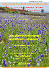 Image result for Sopubia conferta