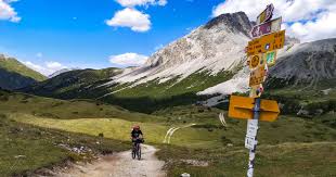 It's a way for you to decorate your town or encourage certain insects to spawn. Marmot S Land Bikepacking Com