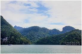 Pulau ini mendapat nama daripada kisah dongeng yang kononnya pulau ini seimbas lalu menyerupai dayang bernama mambang sari yang ditipu ole Pulau Dayang Bunting