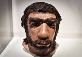 Neanderthal Extinction Down to Inbreeding and "a Stroke of Bad Luck," say  Scientists