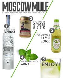 Moscow Mule Lulugracevintage Belvedere Vodka Yummy Drinks Ginger Beer Fun Drinks