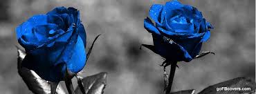 Black And White Flower Facebook Cover Photos Girls Facebook Timeline Cover Photos Right Photos Wallpapers Tips Timeline Cover Photos Facebook Cover Images Cover Photos