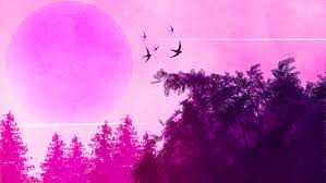 We hope you enjoy our growing collection of hd images to use as a. 2048x1152 Pink Birds Forest Landscape 4k 2048x1152 Resolution Hd 4k Wallpapers Images Backgrounds Photos And Pictures