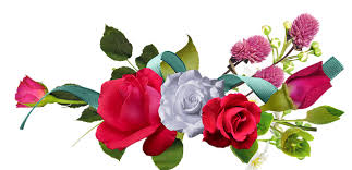 Documents of mary jane dougall. Bennett S Fruit Baskets Syracuse Ny 2413 Lodi St Florists Flower Delivery