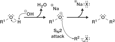 An example is the reaction of sodium ethoxide with. Dehydration Williamson Synthesis And Alkoxymercuration Demercuration Course Hero