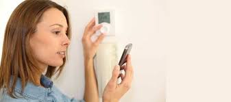 Philip Raymond Curtis IV