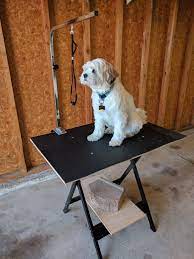 I Built A Diy Grooming Table For Small Dogs And You Can Too Here S How In 2021 Diy Dog Stuff Dog Grooming Dogs Diy Projects