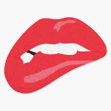 Amazon.com: Magnet Naughty America Magnet Vinyl Decal Sticker 5 :  Automotive