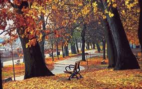 Fondos de pantalla para celulares. Bellas Imagenes De Paisajes Otonales Para Fondos De Pantalla De Pc O Celular Todo Imagenes