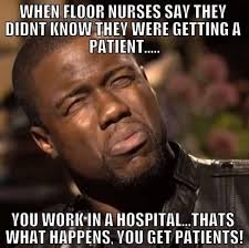 When there is a reaction, it may not show until several days after the bed bug has bitten. 37 Memes That Perfectly Sum Up The Daily Struggles Of Nurses Memebase Funny Memes