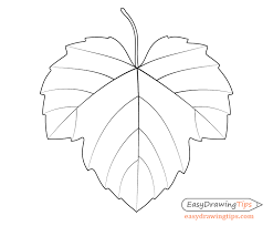 If you have a difficult shape to draw, first you must try to see how it with over a thousand simple drawing lessons for you and your kids to follow along with. How To Draw Grapes Step By Step Tutorial Easydrawingtips
