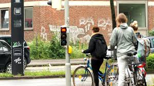 Gruner Abgeordneter Radfahrer Sollen Auch Bei Rot Fahren Durfen Welt
