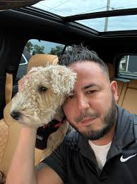 This is Stella she is 18 months ♥️ Chicago IL 🐶