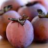 People also asked, are persimmon seeds poisonous? 1