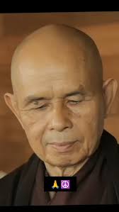 Fla Community Of Mindfulness